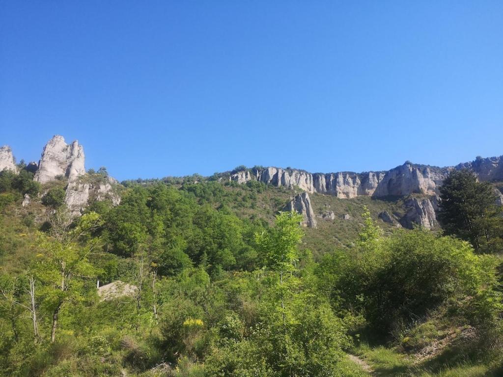 Chateau D'Eau Logement Insolite Tournemire  Dış mekan fotoğraf